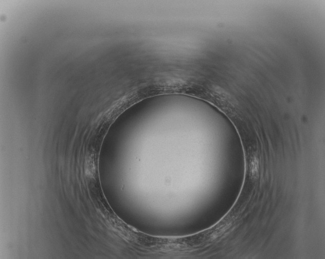 X0000063491204200601271711