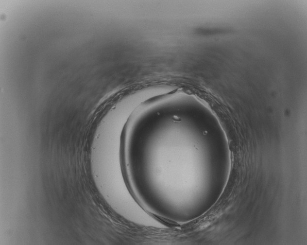 X0000063491206200601271711