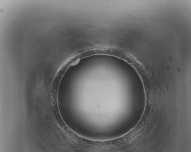 X0000063491208200601271711