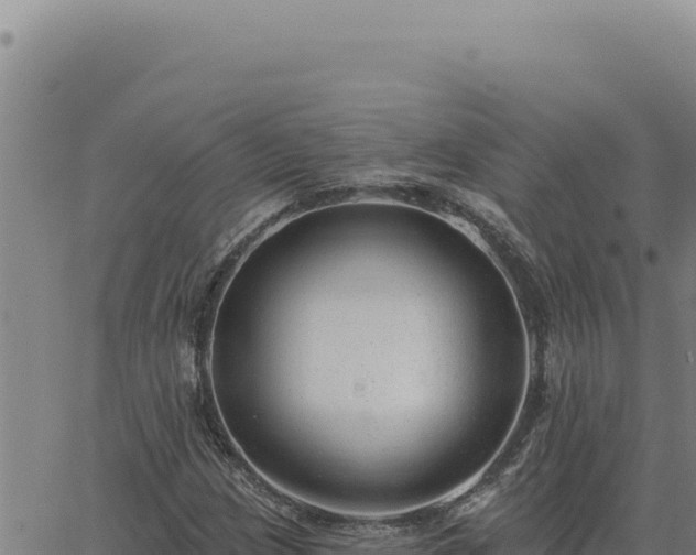 X0000063491209200601271711