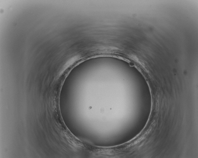 X0000063491211200601271711