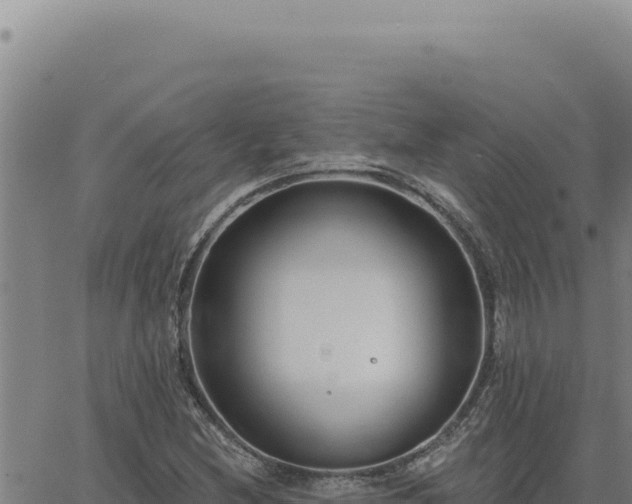 X0000063491212200601271711