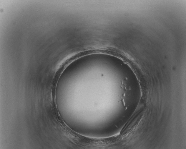 X0000063491214200601271711