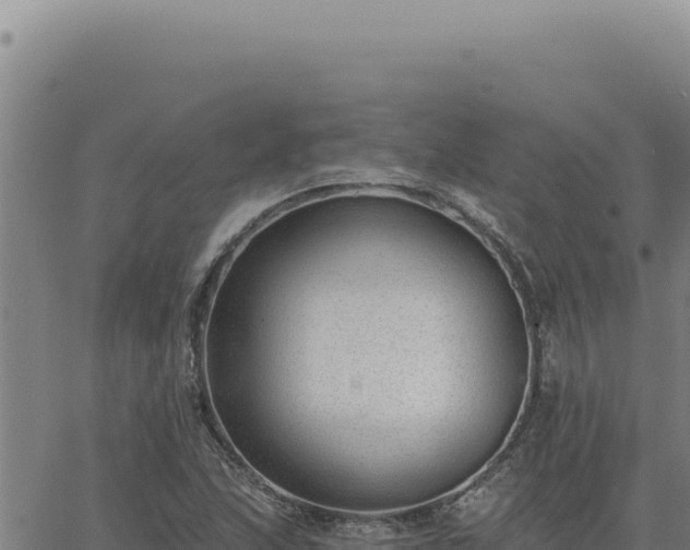 X0000063491215200601271711