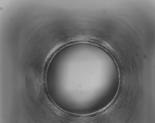 X0000063491216200601271711