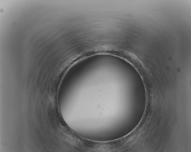 X0000063491217200601271711