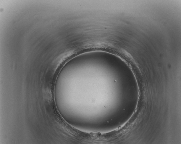 X0000063491218200601271711