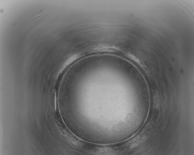 X0000063491219200601271711