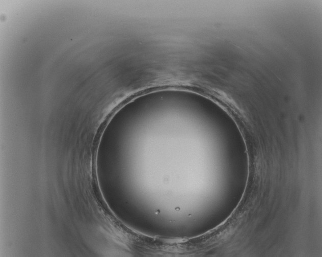 X0000063491220200601271711