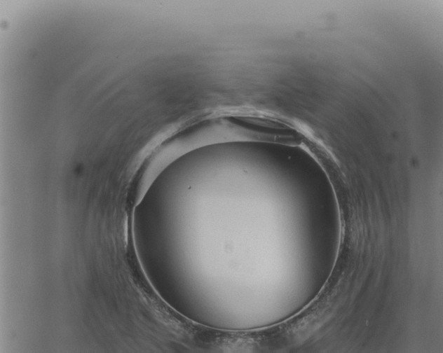 X0000063491221200601271711