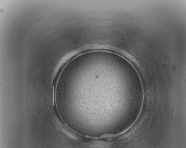 X0000063491223200601271711