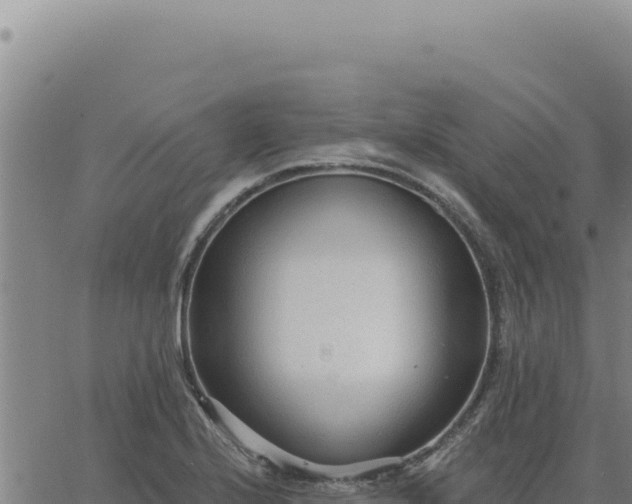 X0000063491224200601271712