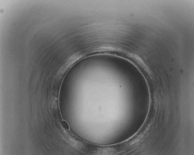 X0000063491225200601271712