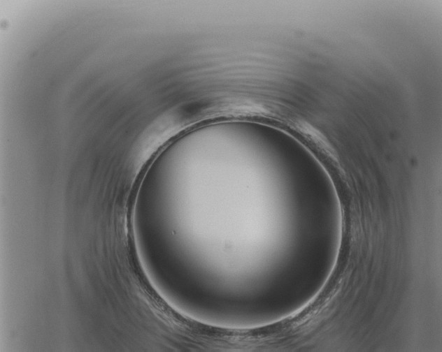 X0000063491226200601271712