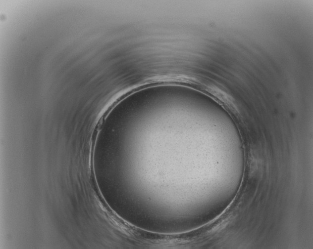 X0000063491228200601271712