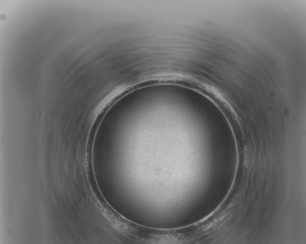 X0000063491229200601271712