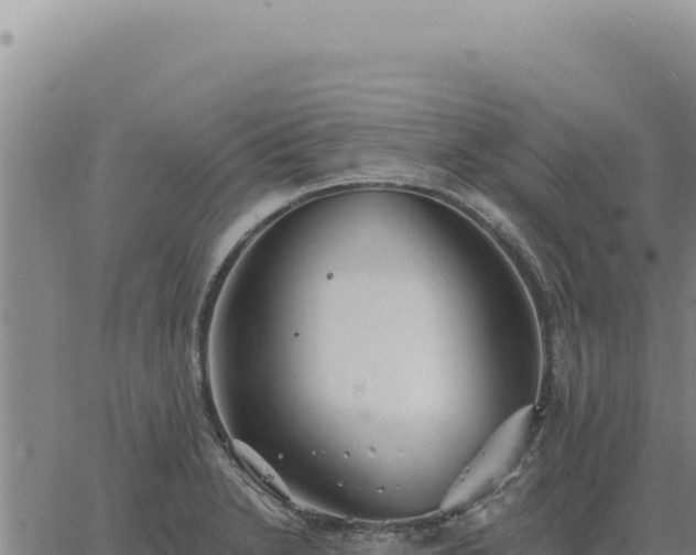 X0000063491230200601271712