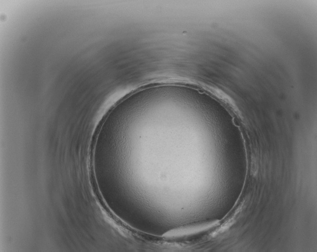 X0000063491231200601271712