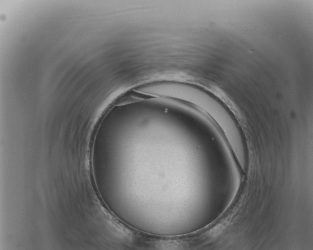 X0000063491232200601271712