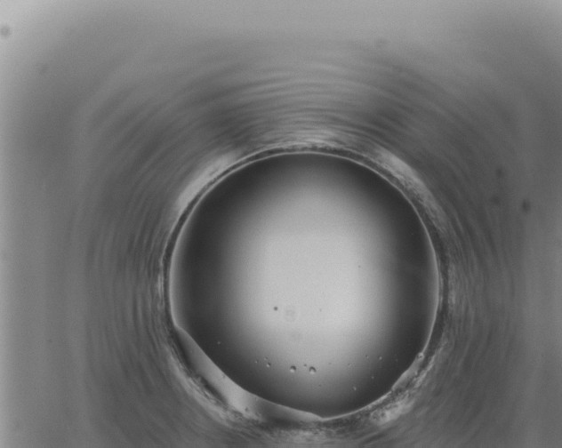 X0000063491234200601271712