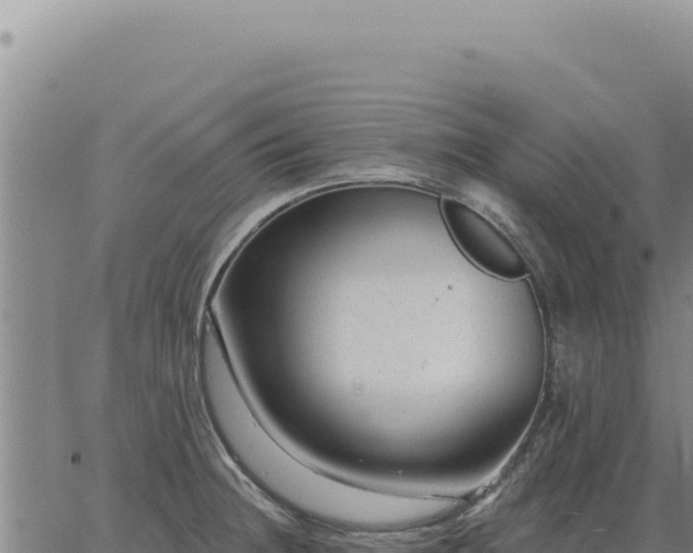 X0000063491236200601271712