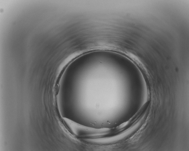 X0000063491238200601271712