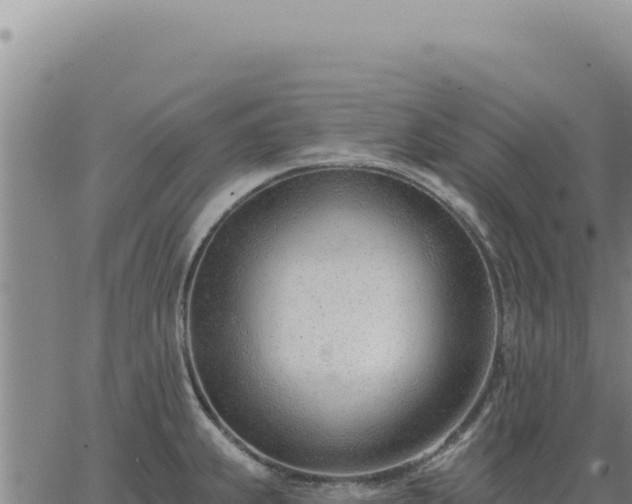 X0000063491239200601271712