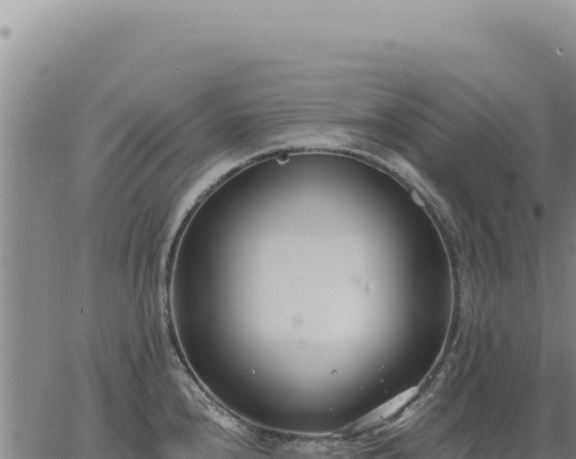 X0000063491240200601271712