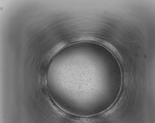 X0000063491241200601271712