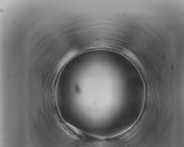 X0000063491242200601271712