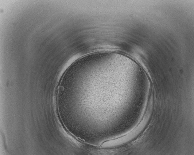 X0000063491243200601271712