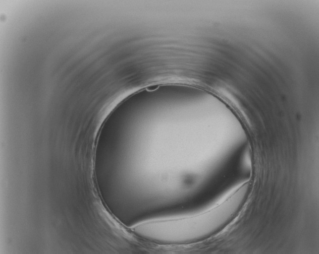 X0000063491244200601271712