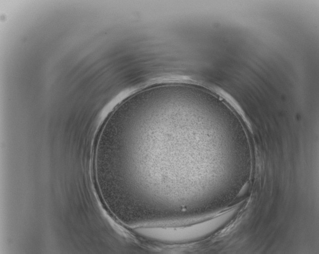 X0000063491245200601271712