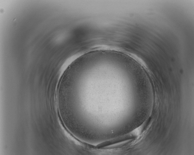 X0000063491247200601271712