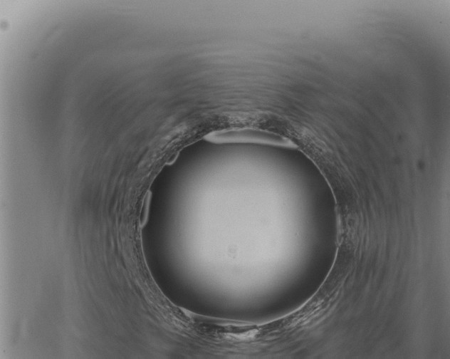 X0000063491249200601271711