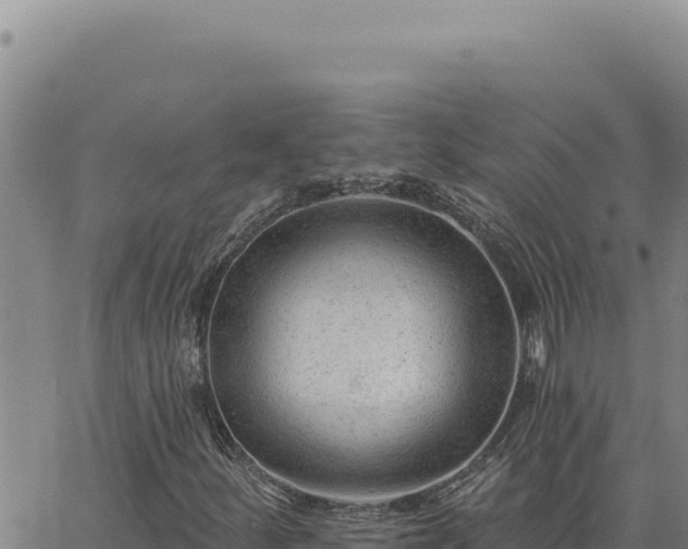 X0000063491252200601271711