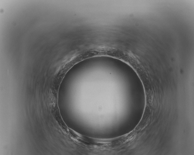 X0000063491253200601271711