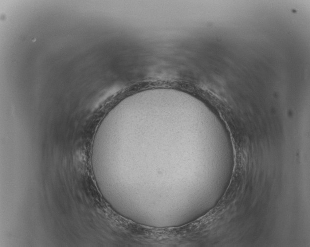 X0000063491254200601271711