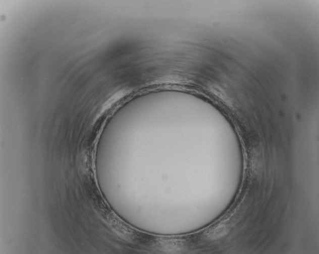 X0000063491258200601271711