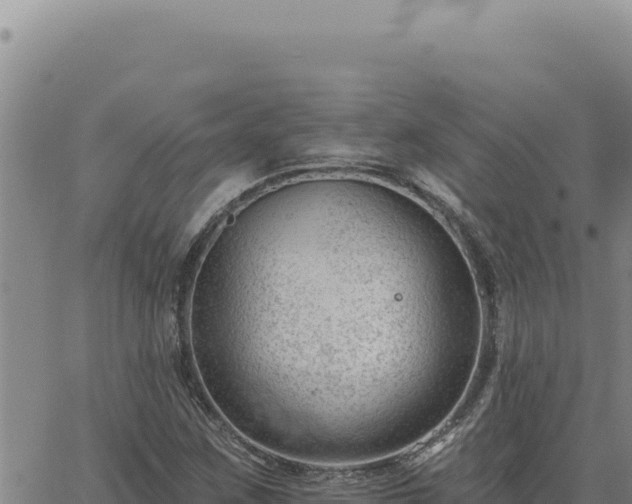 X0000063491259200601271711