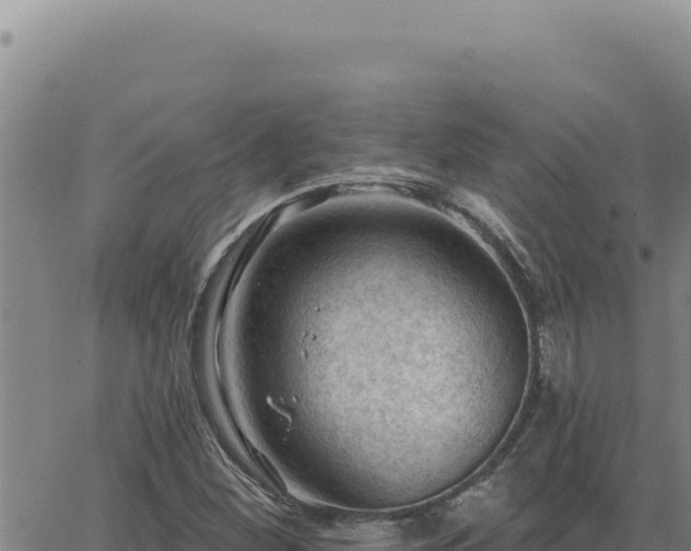 X0000063491260200601271711