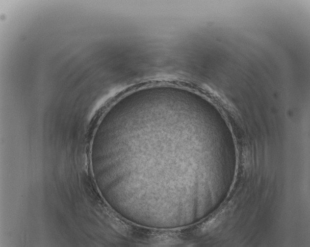 X0000063491262200601271711