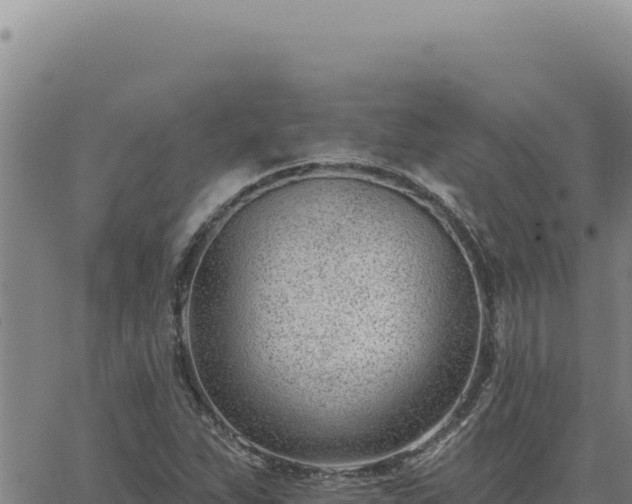 X0000063491263200601271711