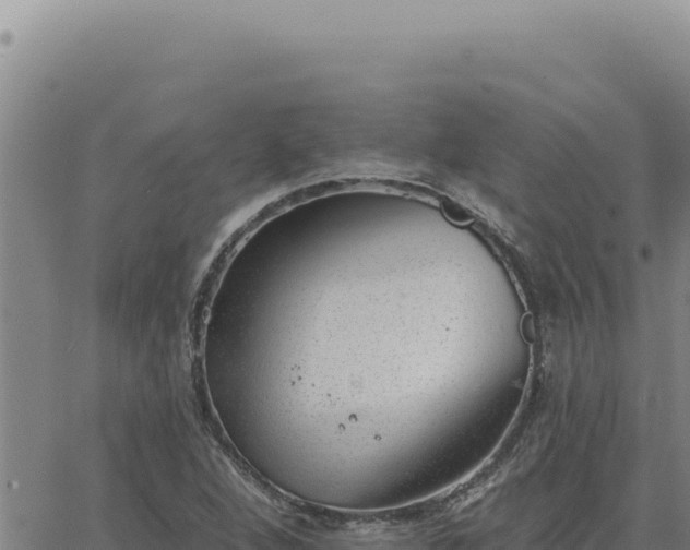 X0000063491264200601271711