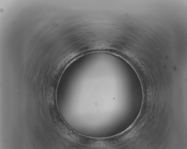 X0000063491265200601271711