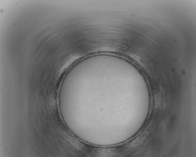 X0000063491266200601271711