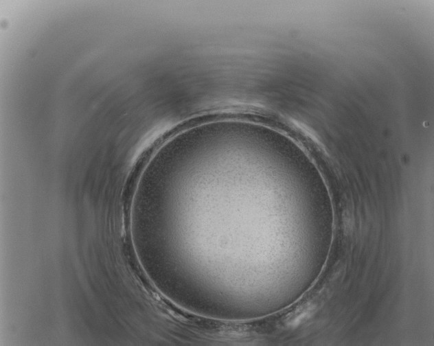 X0000063491267200601271711