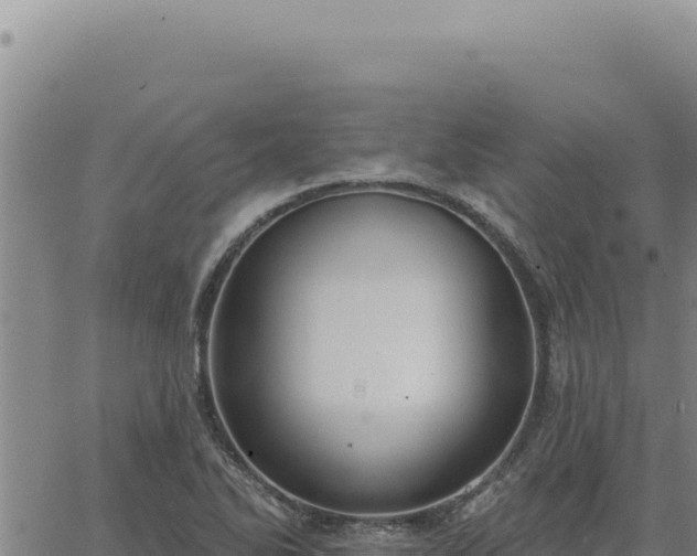 X0000063491270200601271711