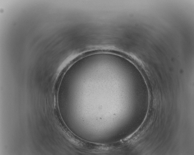 X0000063491271200601271711