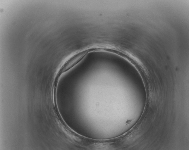 X0000063491272200601271711